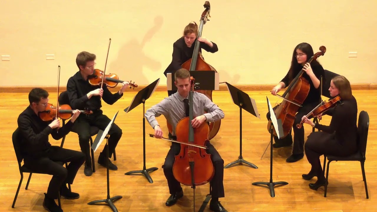 Haydn - Cello Concerto in C Major
