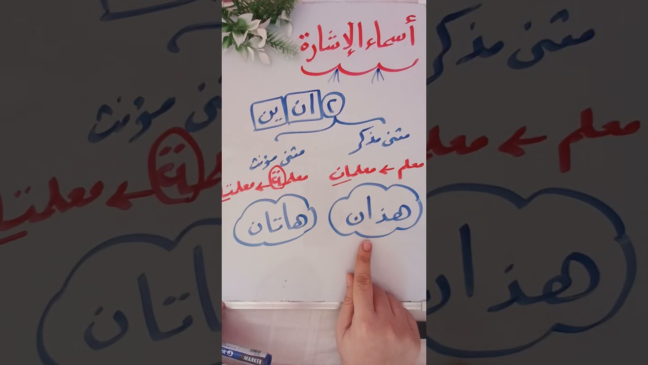 أسماء الإشارة ...الصف الثاني الابتدائي(شرح و حل تدريبات سلاح التلميذ )