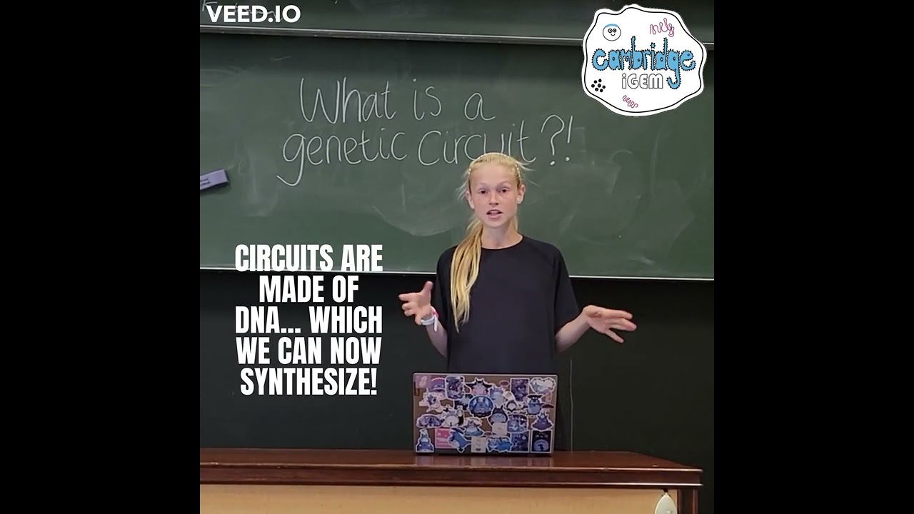 What is a genetic circuit?