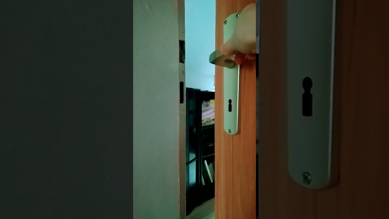 wenn man versucht die t&uuml;r leise zu zu machen