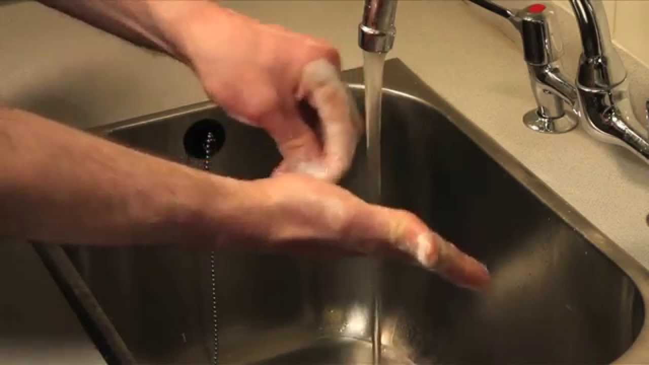 Hand Hygiene in Veterinary Practice presented by the Bella Moss Foundation