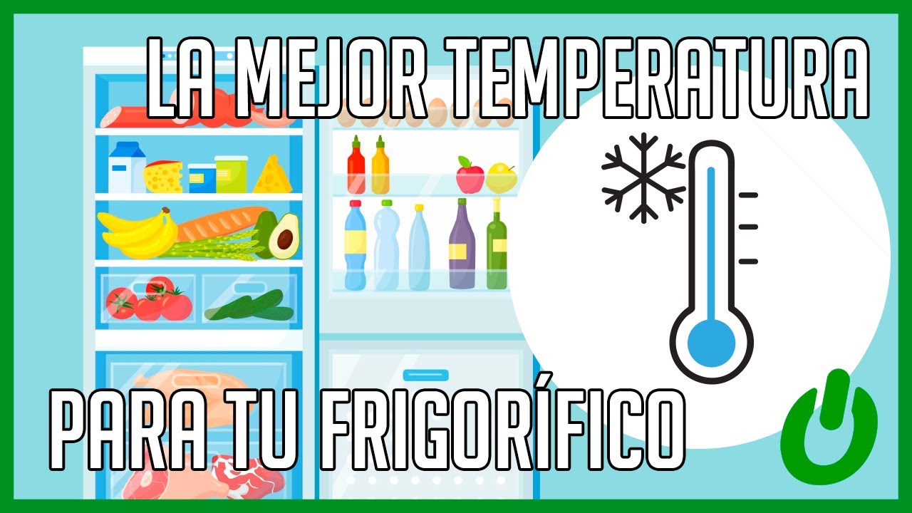 Consejo! La temperatura ideal para tu frigor&iacute;fico