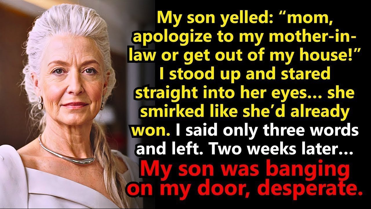 My Son Demanded I Apologize to His MIL. I Said Three Words… Weeks Later He Came Back Desperate.