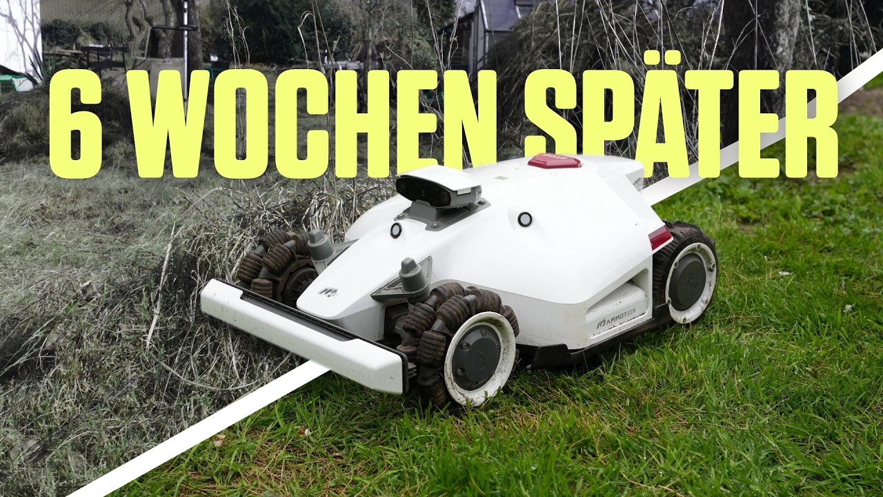 Ich habe einen Mähroboter in unserem Chaos ausgesetzt