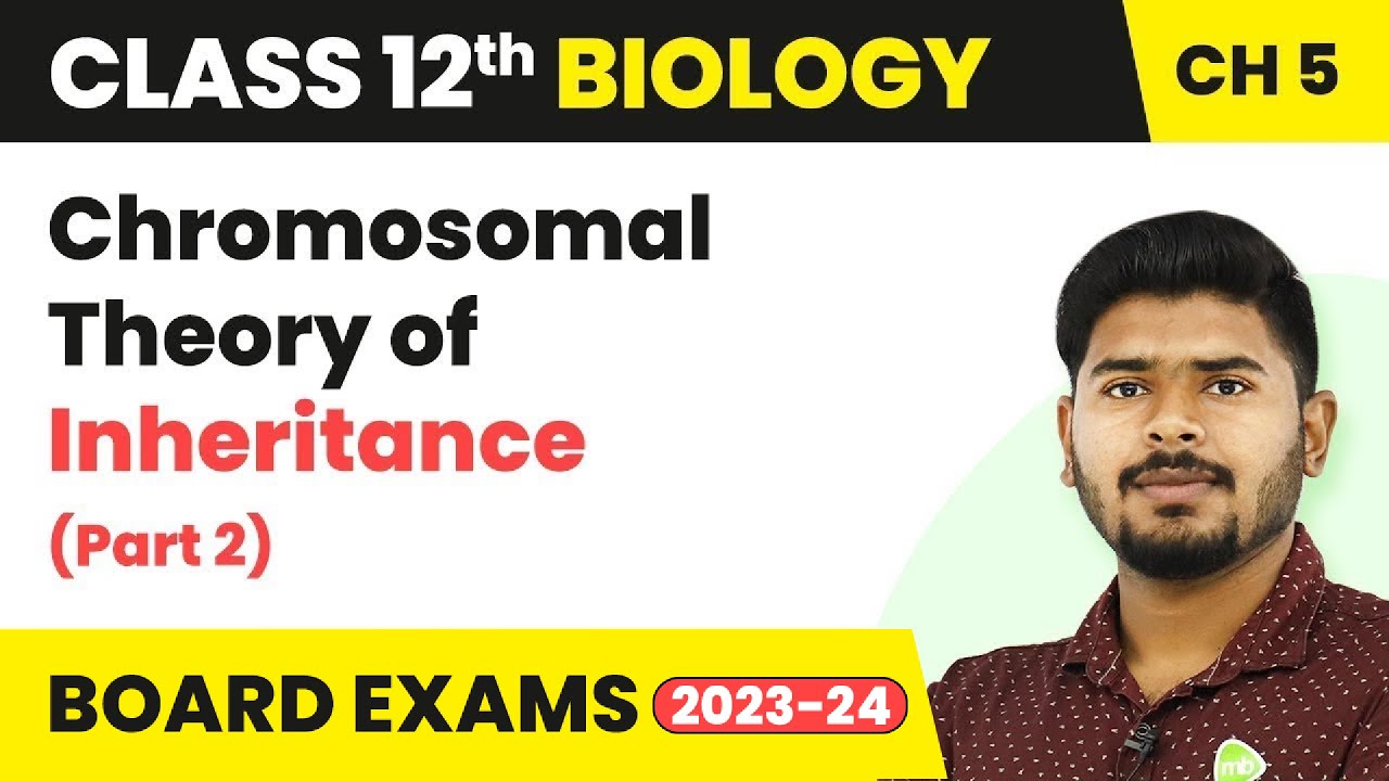 Chromosomal Theory of Inheritance Part 2-Principles of Inheritance and Variation| Class 12 (2022-23)