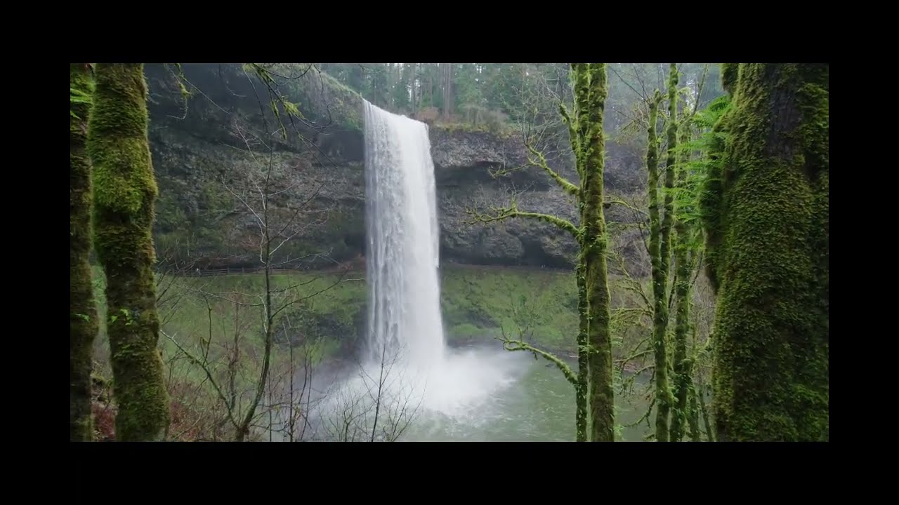Pure calmness ,Clean Visuals for Deep Work, Studying & Mental Clarity (No Music, No Talking)