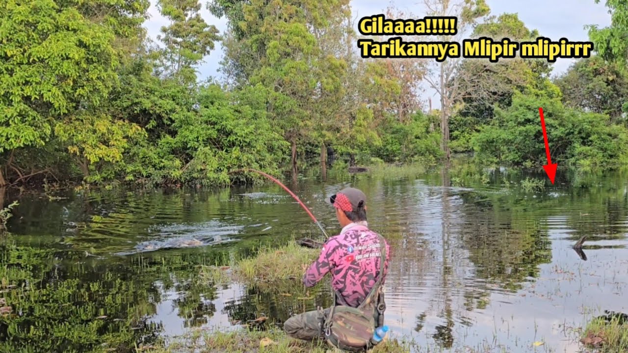 Memang gila Toman2 disini snapku sampe benggang