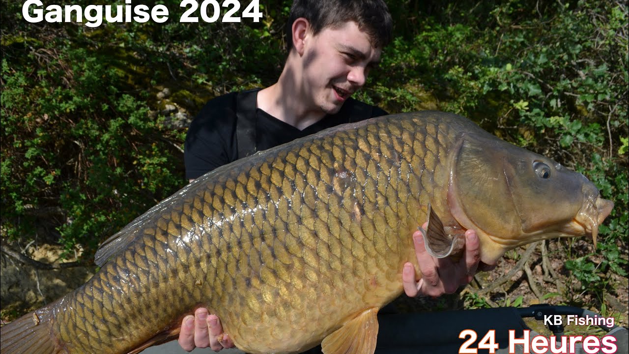 Pêche de la carpe 24H en Barrage : Ganguise
