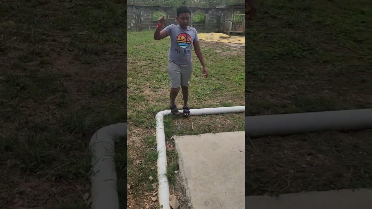 Cricket (Part 5)