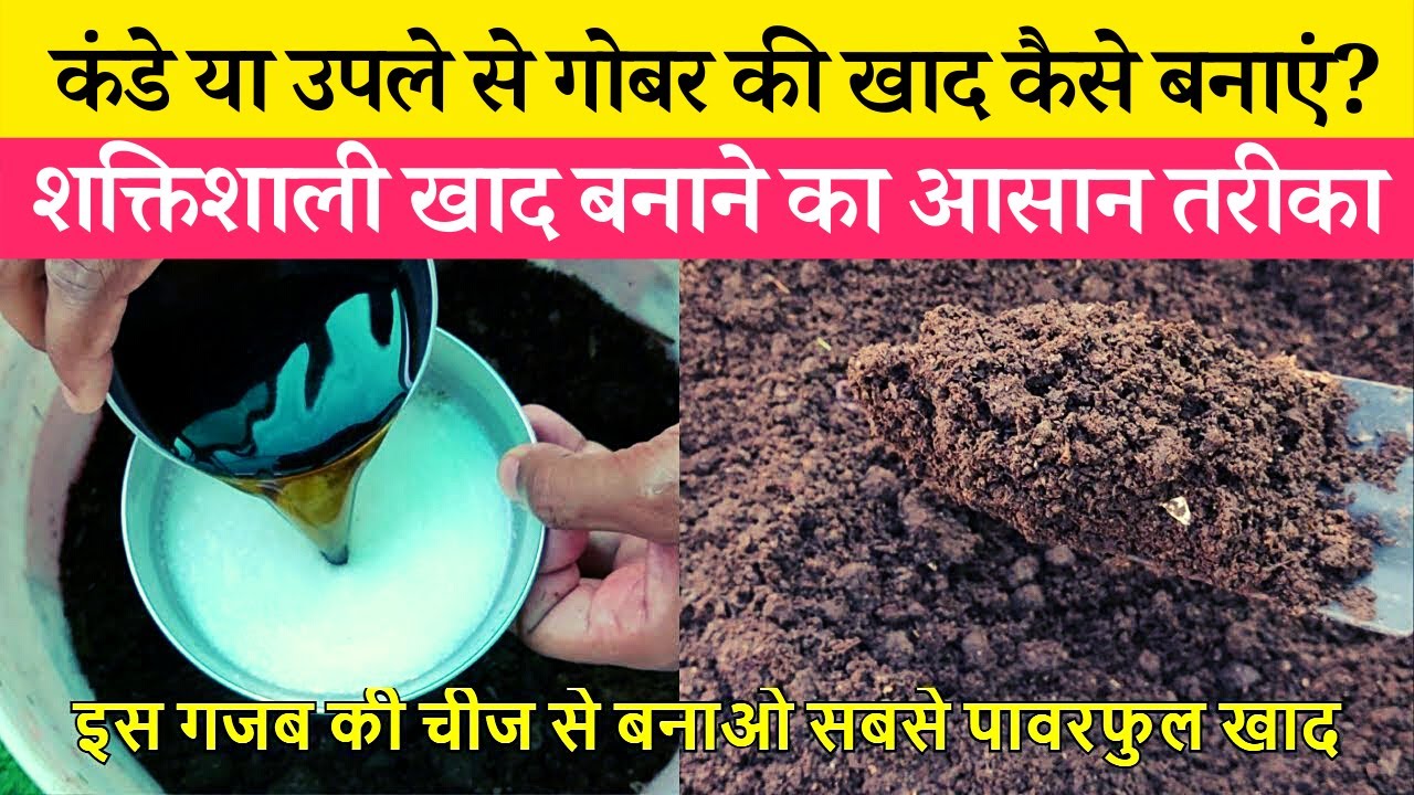 कंडे या उपले से गोबर की खाद कैसे बनाएं जानें आसान तरीका | Gobar Ke Kande Se Khad Kaise Banaye