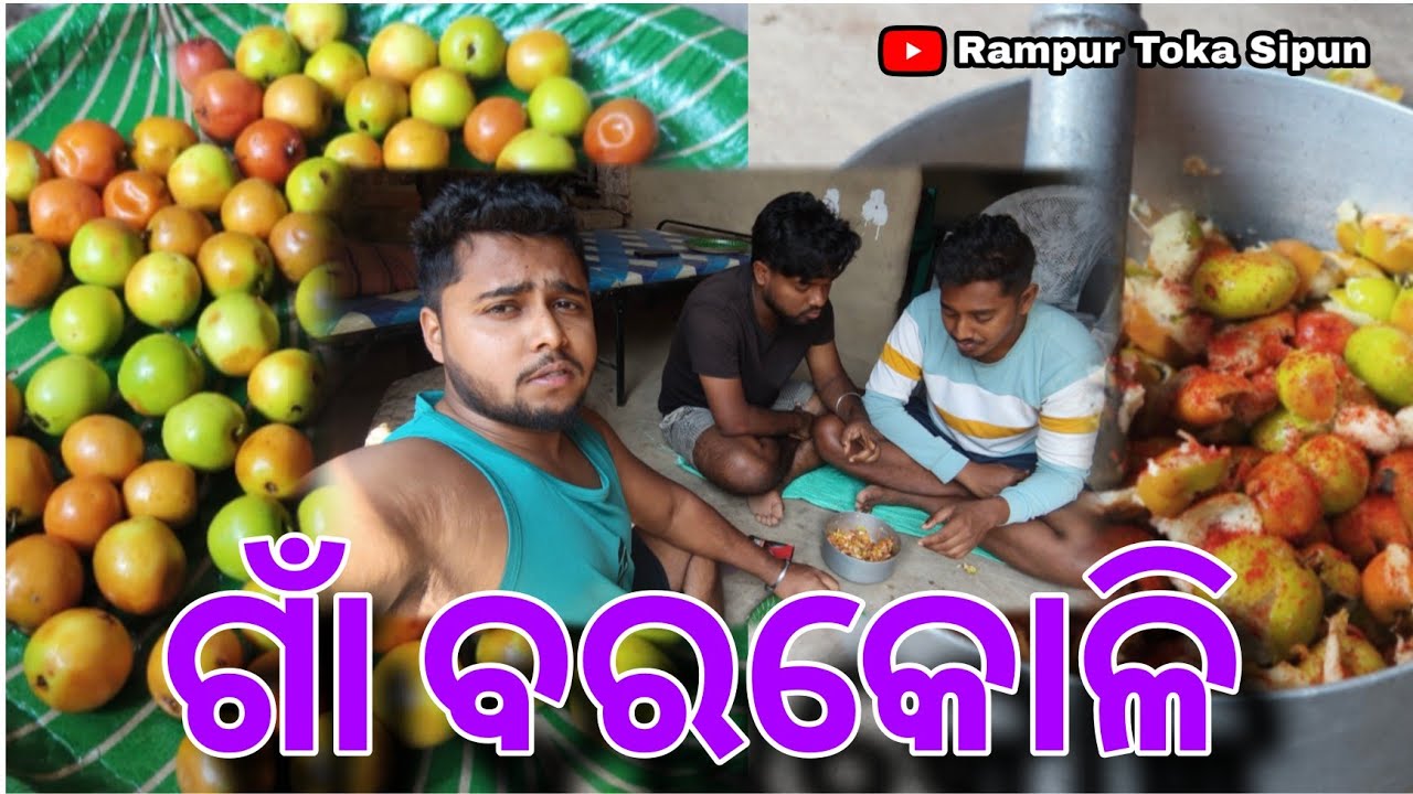 ଗାଁ ବରକୋଳି 😍 || Odia Village Vlog || Rampur Toka Sipun 