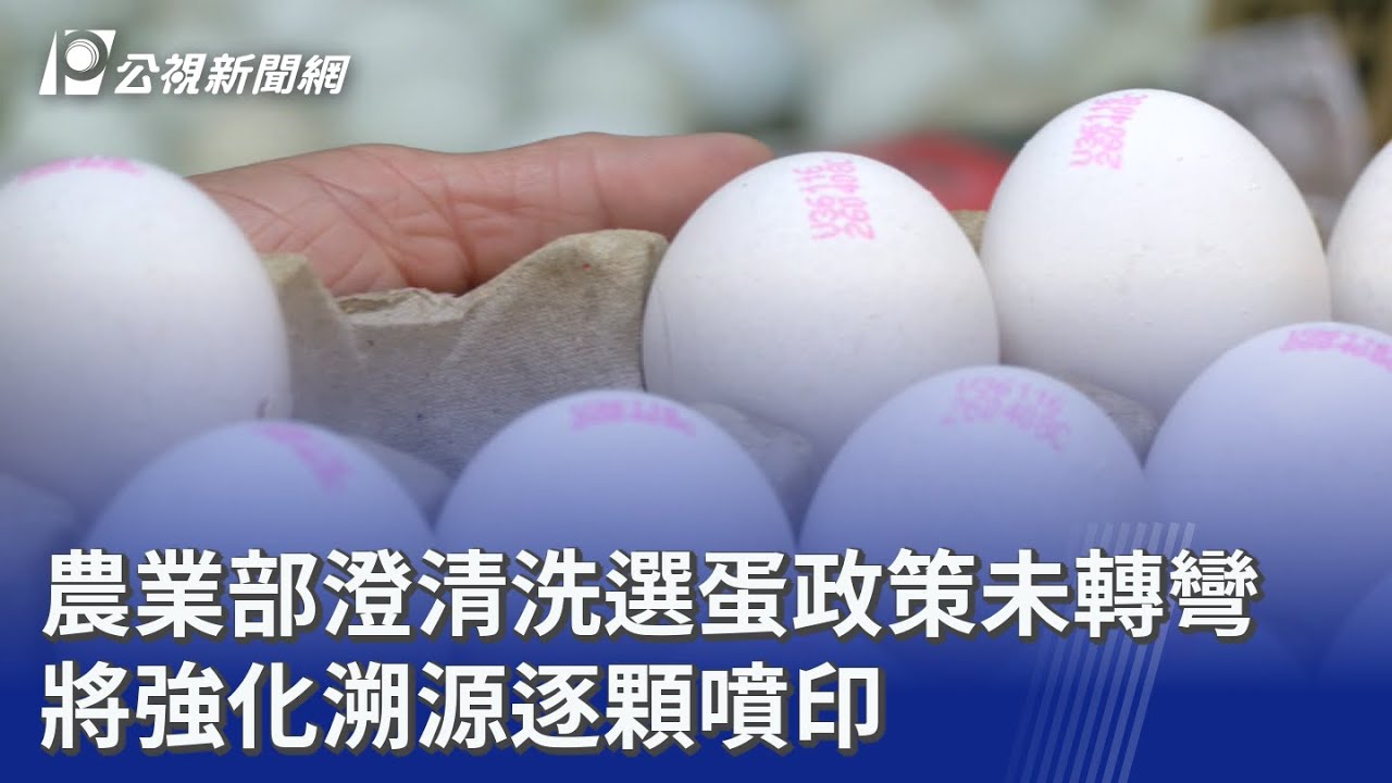 農業部澄清洗選蛋政策未轉彎 將強化溯源逐顆噴印｜20260415 公視晚間新聞