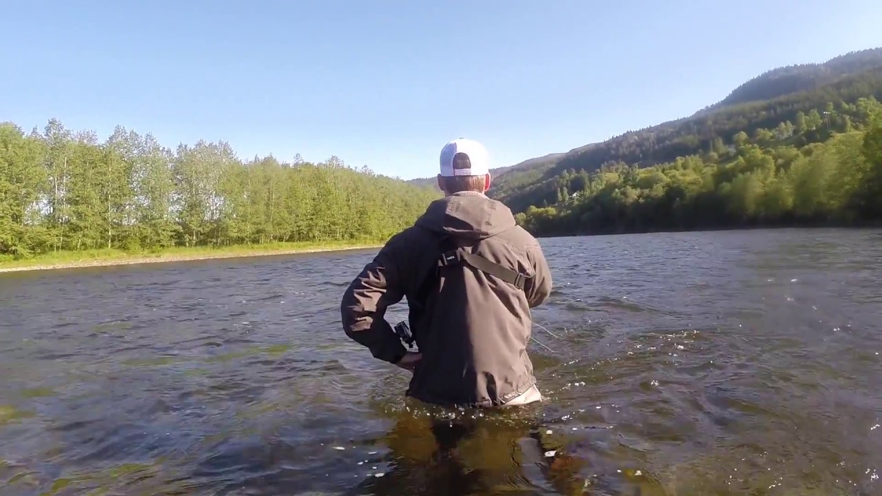 FLYFISHING FOR NORTH ATLANTIC SILVER, SUMMER 2016