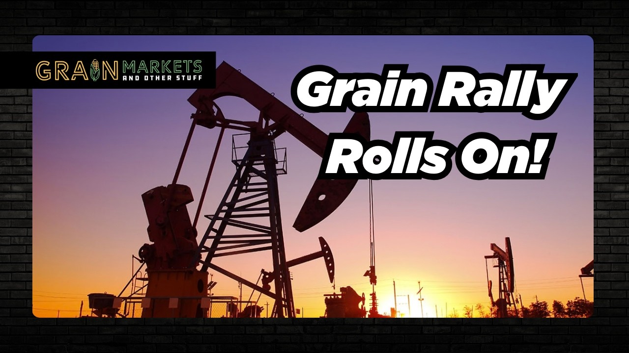 Crude Awakening: Oil Lifts Grain Markets
