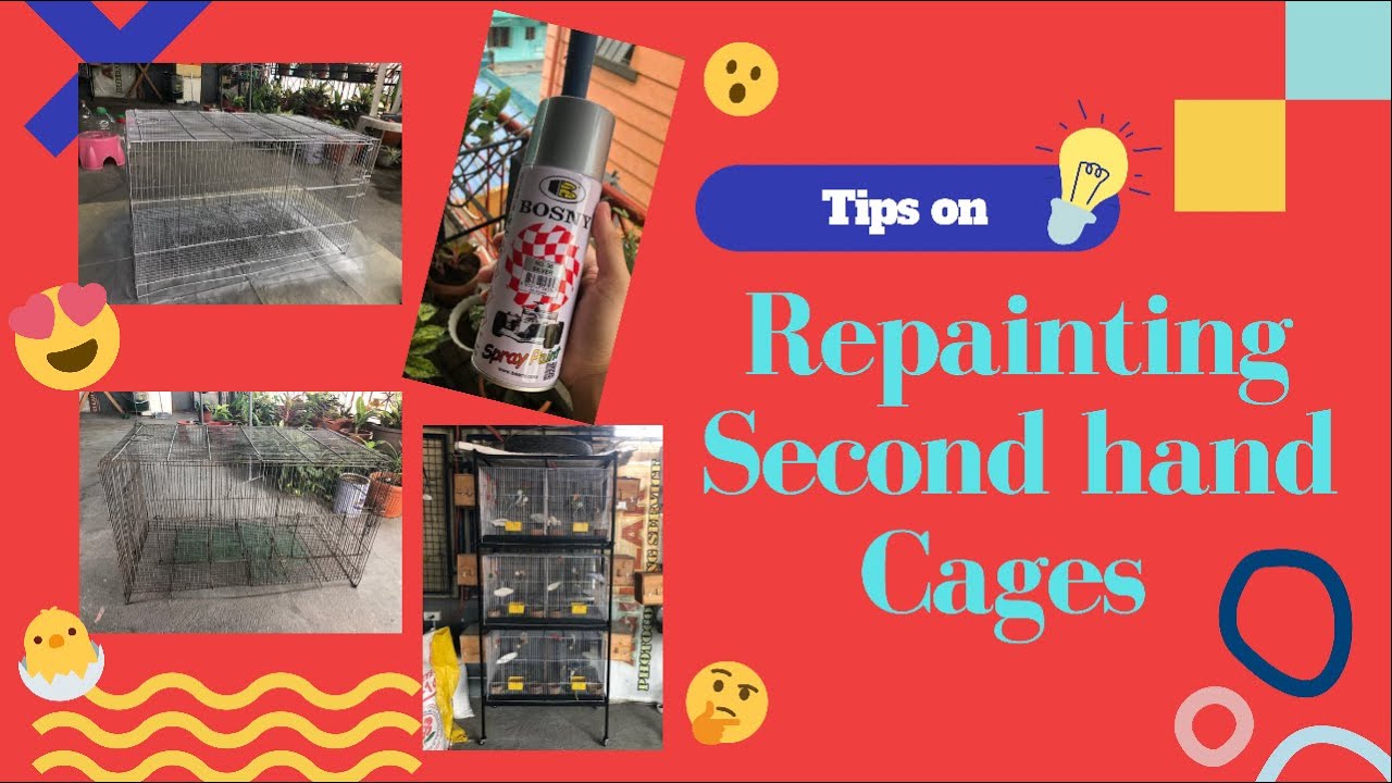 HOW TO RE-PAINT BIRD CAGES! MUKHANG BRANDNEW ULIT! TIPID TIPS MGA KAIBON! VLOG #62