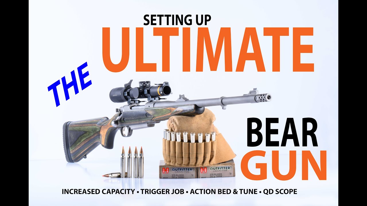 Building the Ultimate Bear Gun