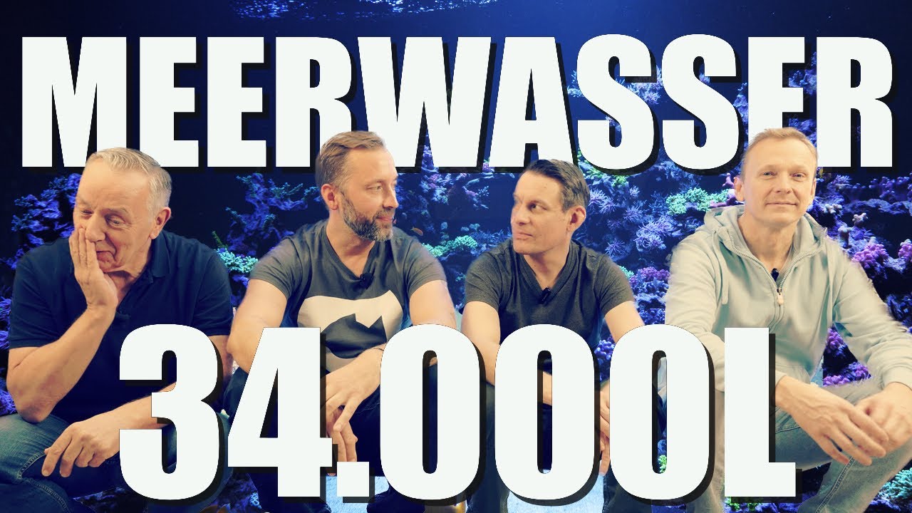 Tauchen im  MEERWASSERAQUARIUM?! Der große Check von INNEN und AUSSEN!