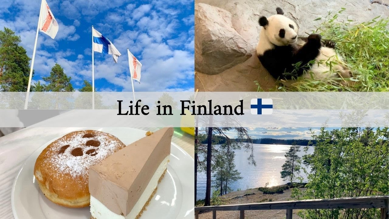 Midsummer in &Auml;ht&auml;ri | Pandas | Summer Family Vacation | Slow Living, Silent Vlog | Finland 🇫🇮