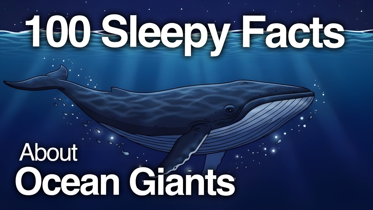 The Most Relaxing Facts About Ocean Giants to Fall Asleep To