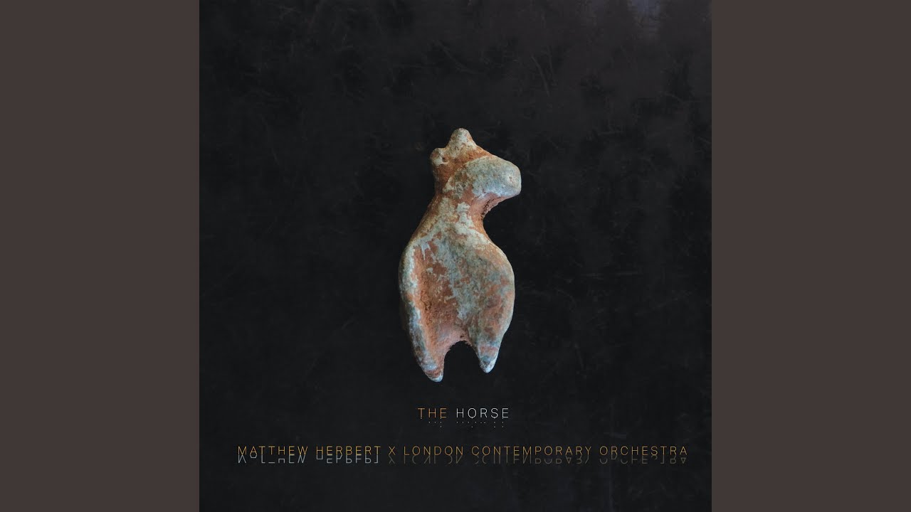 The Rider (Not the Horse)