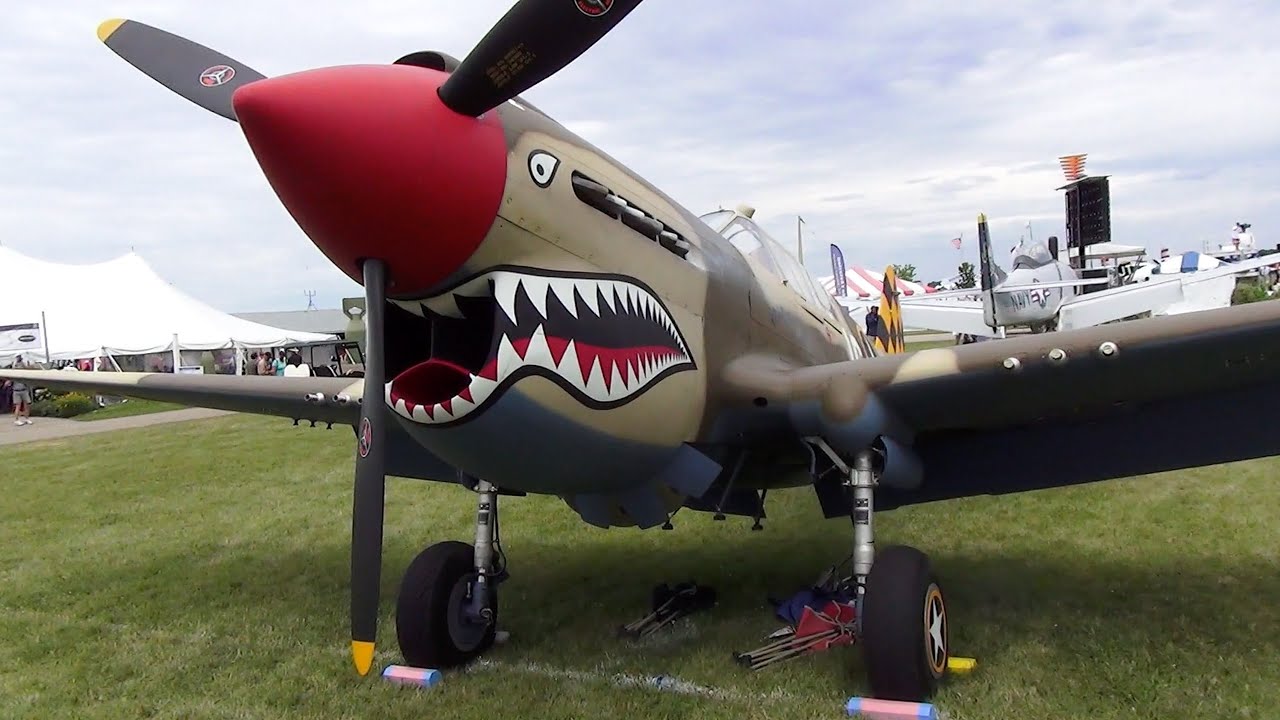 Curtiss P-40E Warhawk | N4420K | Walk Around