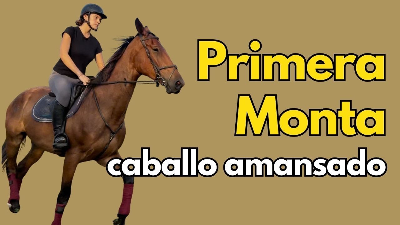 De violento a relajado: la primera monta de su dueña