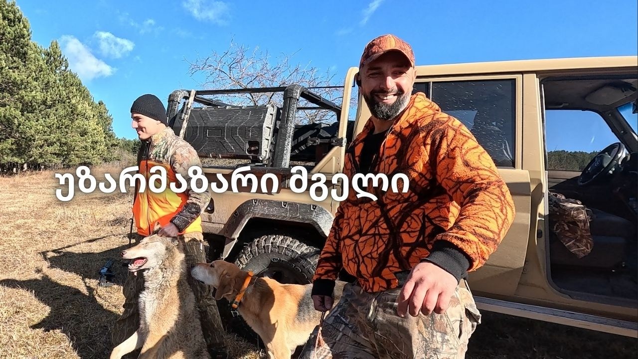 მგელზე ნადირობა დმანისში