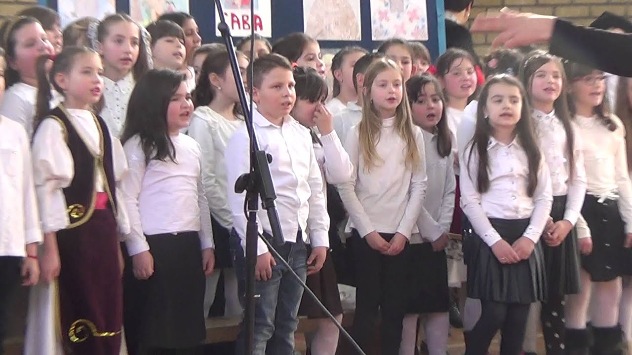 Crepaja, školska slava 2016. deo 07