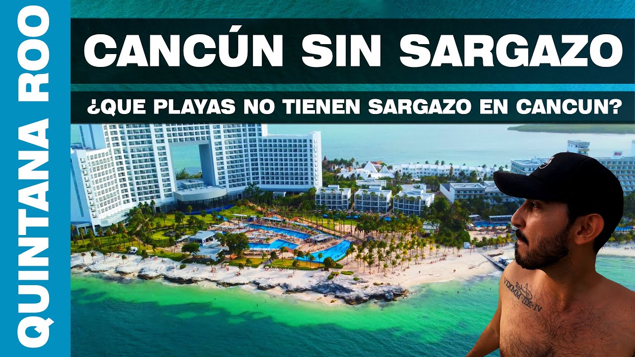 ✅ Playas Sin SARGAZO en CANCUN (Playa Tortugas)