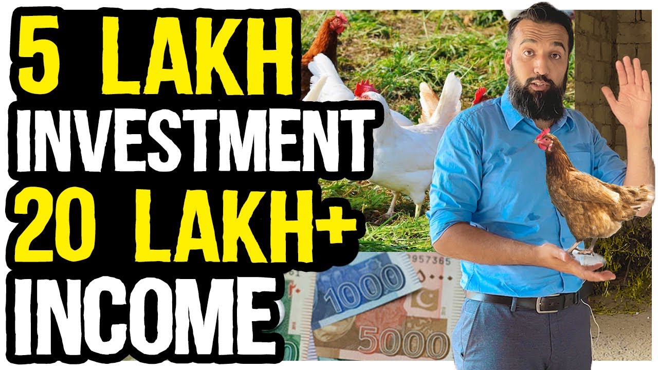 60 Lakh har Saal sirf 1,000 Murghiyon se | Chicken Farming in Pakistan Feasibility Report