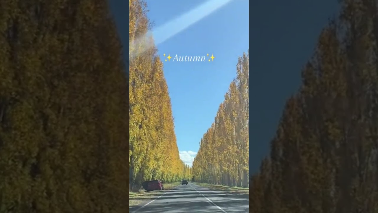 #marysville
