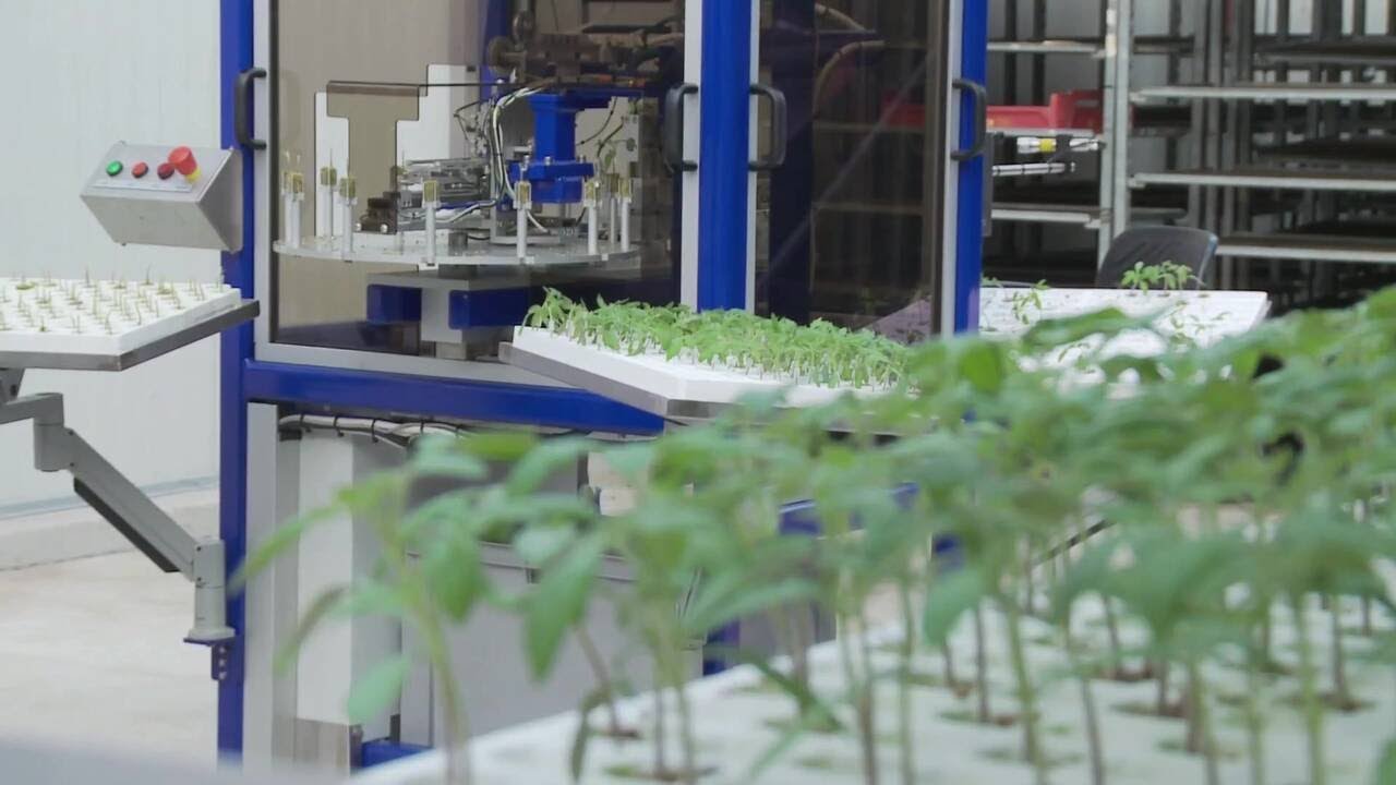 ISO Group introduces how robotization in propagation can help the grower work efficiently