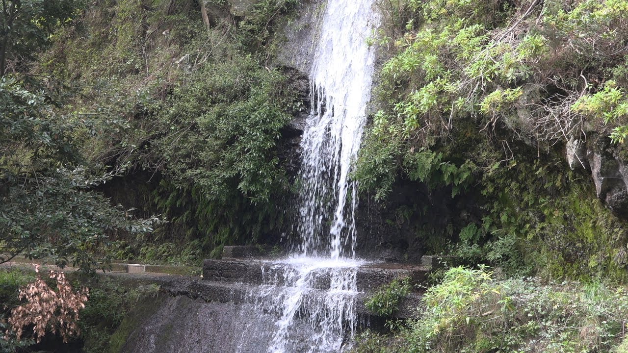 Walking in Madeira (Portugal) from Camacha till Santo Da Serra