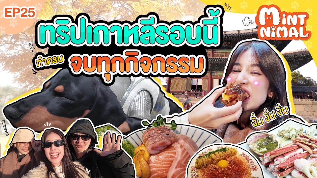 ทริปเกาหลีรอบนี้ ทำครบจบทุกกิจกรรม | Mintnimal EP.25