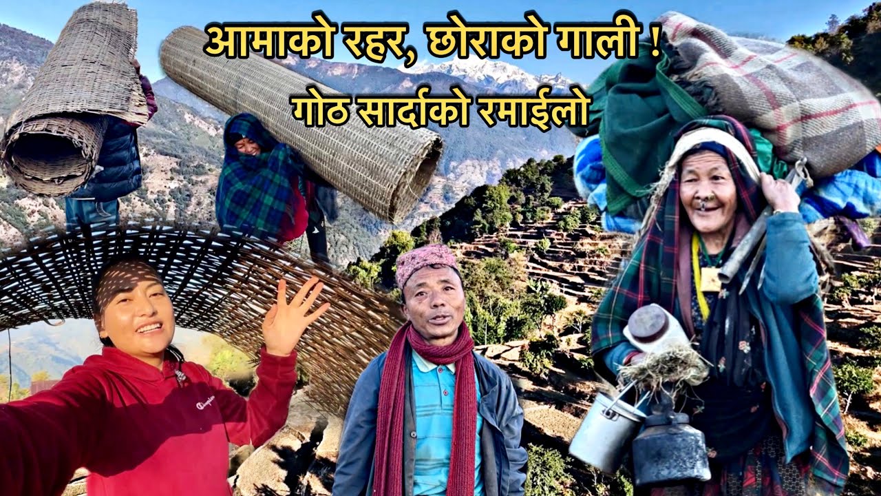 गोठ सार्दै बुवाको गीतमा रमाउदै । गोठालो आमाको दुध खाने रहर र छोराको गाली ।Nepali village life vlog 