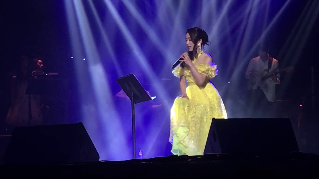 唯獨你是不可取替❤️酒井法子香港演唱會2018