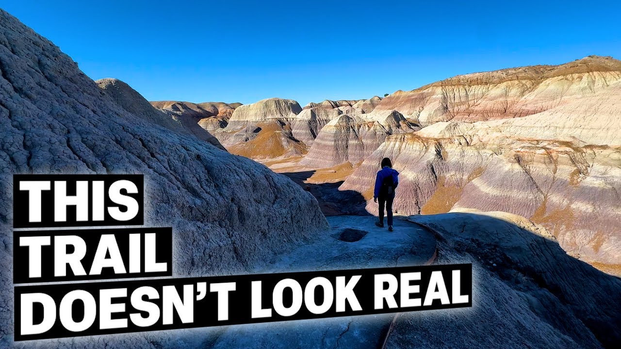 Petrified Forest National Park - Blue Mesa Trail