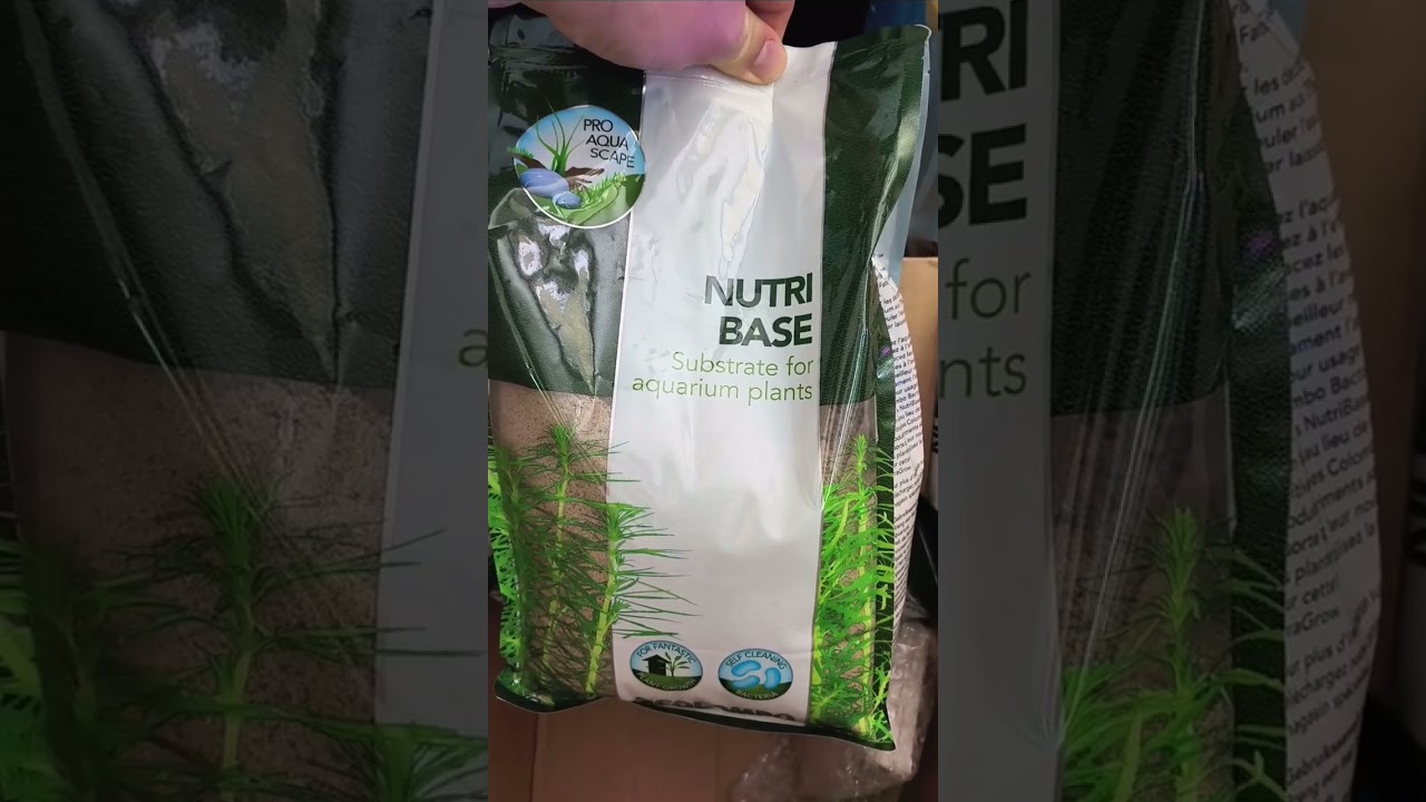 Unboxing From ProShrimp UK!