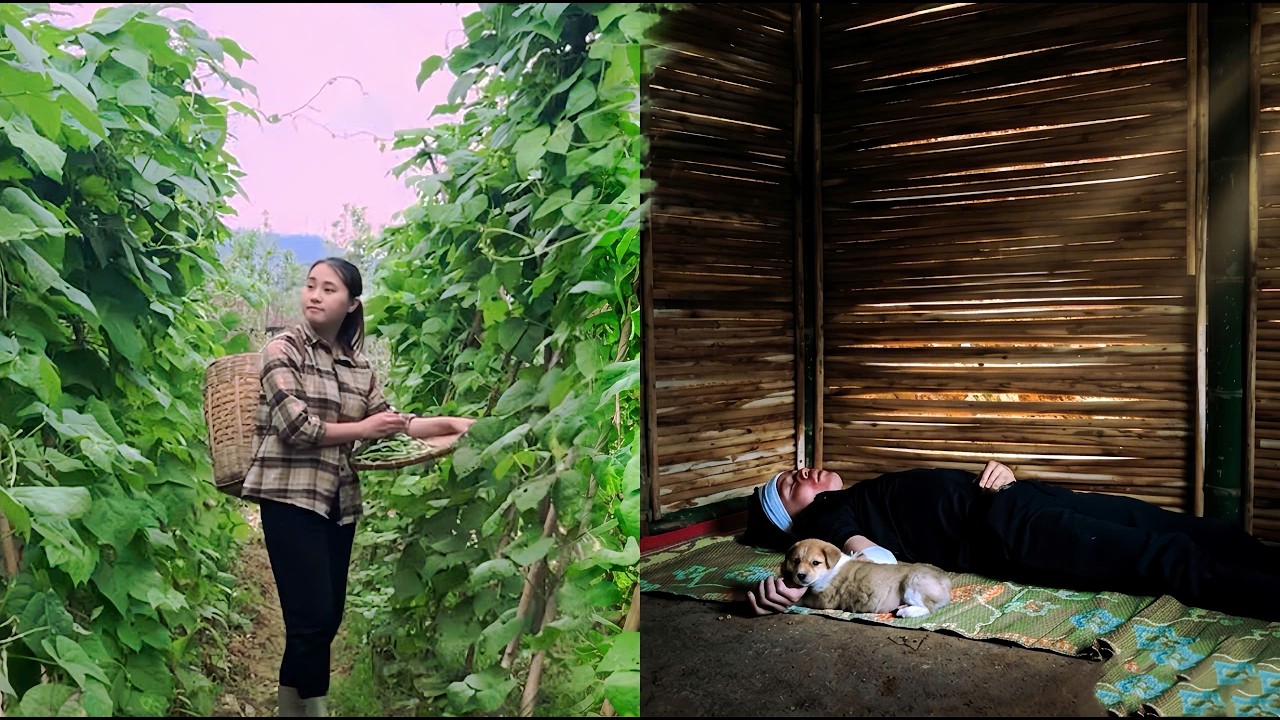 Сельскохозяйственный Рабочий Теряет Сознание — Таинственный Старик Появляется, Чтобы Помочь