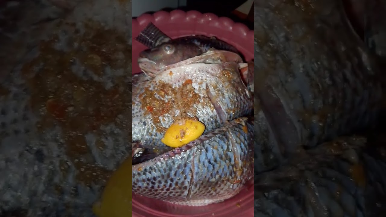 أحلى سمك بلطي مقلي ورز .. وجبة على قد الإيد وتفتح النفس 🐟🍚