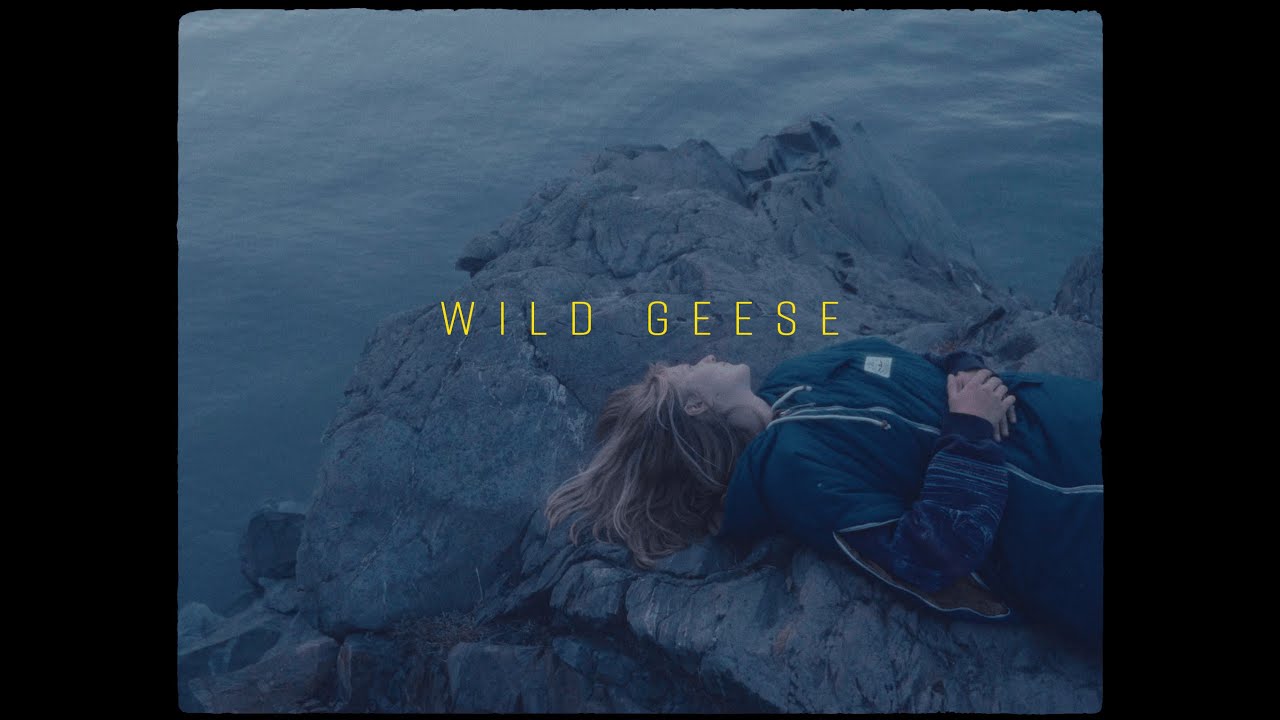 Wild Geese (Mary Oliver) Read by David Whyte