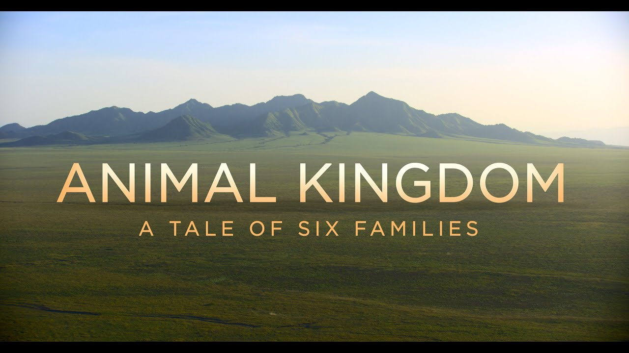 Animal Kingdom: A Tale of Six Families - Official Trailer