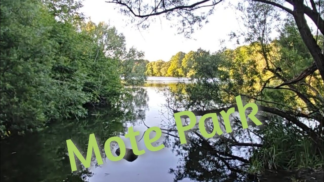 Mote Park in Maidstone. 