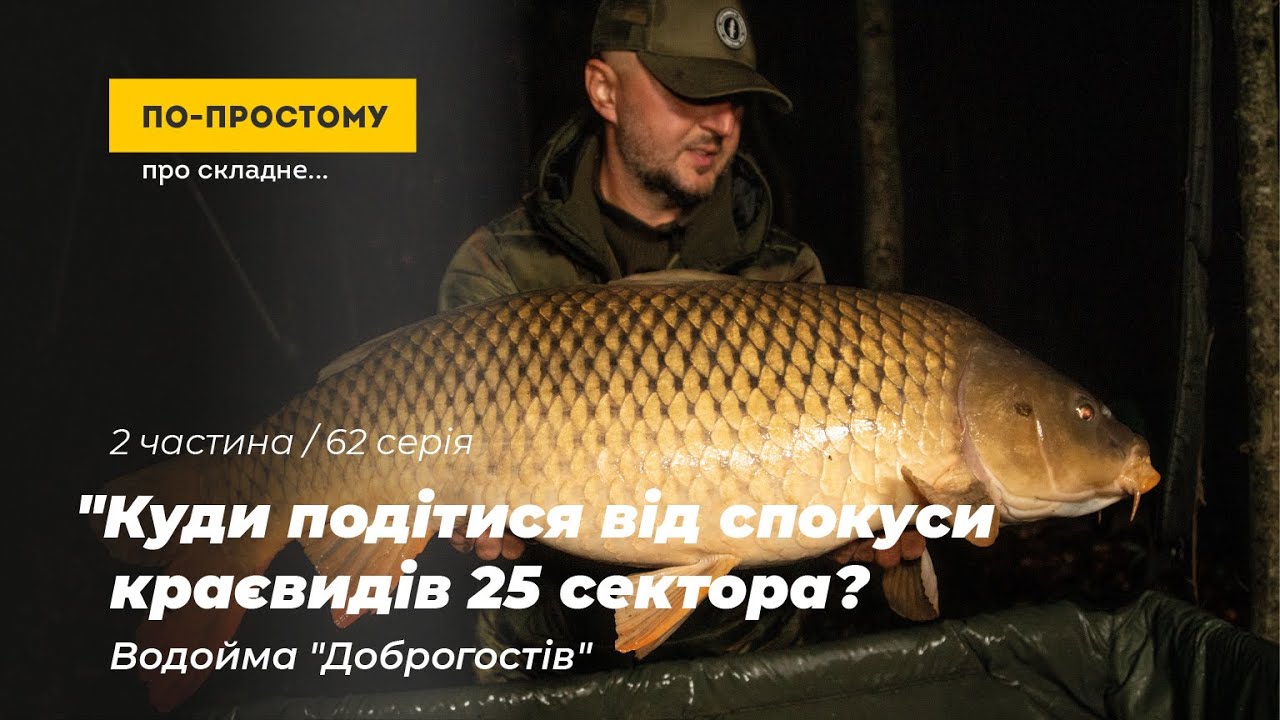 Куди подітися від спокуси краєвидів 25 сектора? 