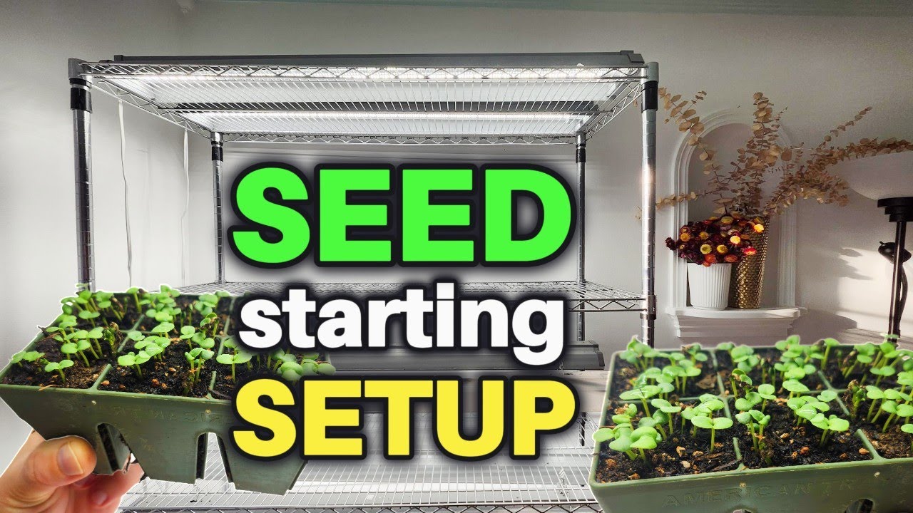 Indoor SEED starting SETUP - What You REALLY Need to Get STARTED!