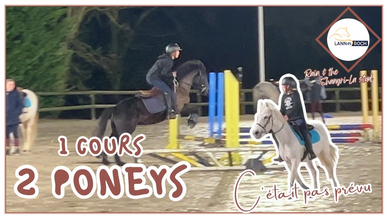 🤎 Saut d’obstacle : DEUX PONEYS POUR SON ANNIVERSAIRE 🎂 