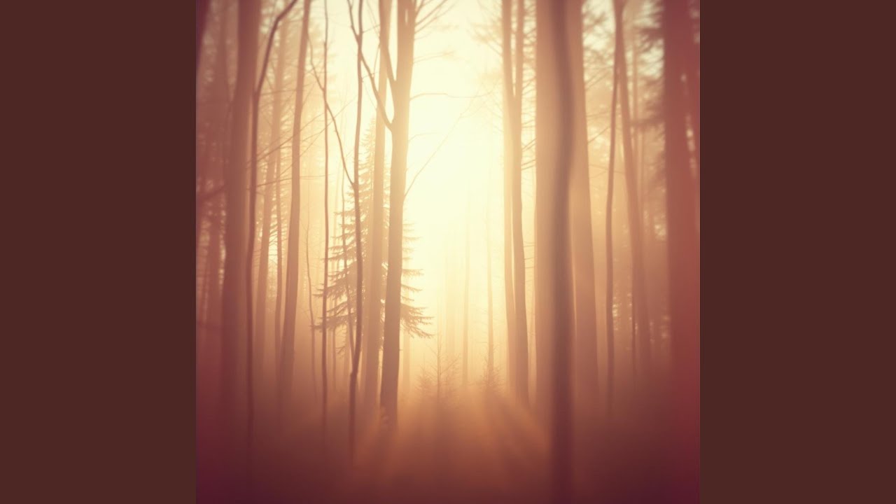 Whispers of light