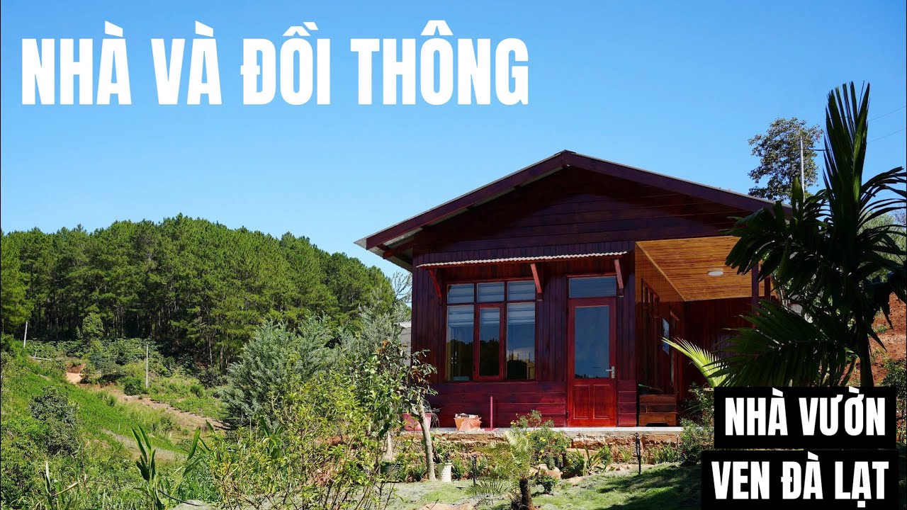 Nhà cách Đà Lạt 1 con suối|| Nhà vườn cảnh quan đồi thông, bình yên trong lành