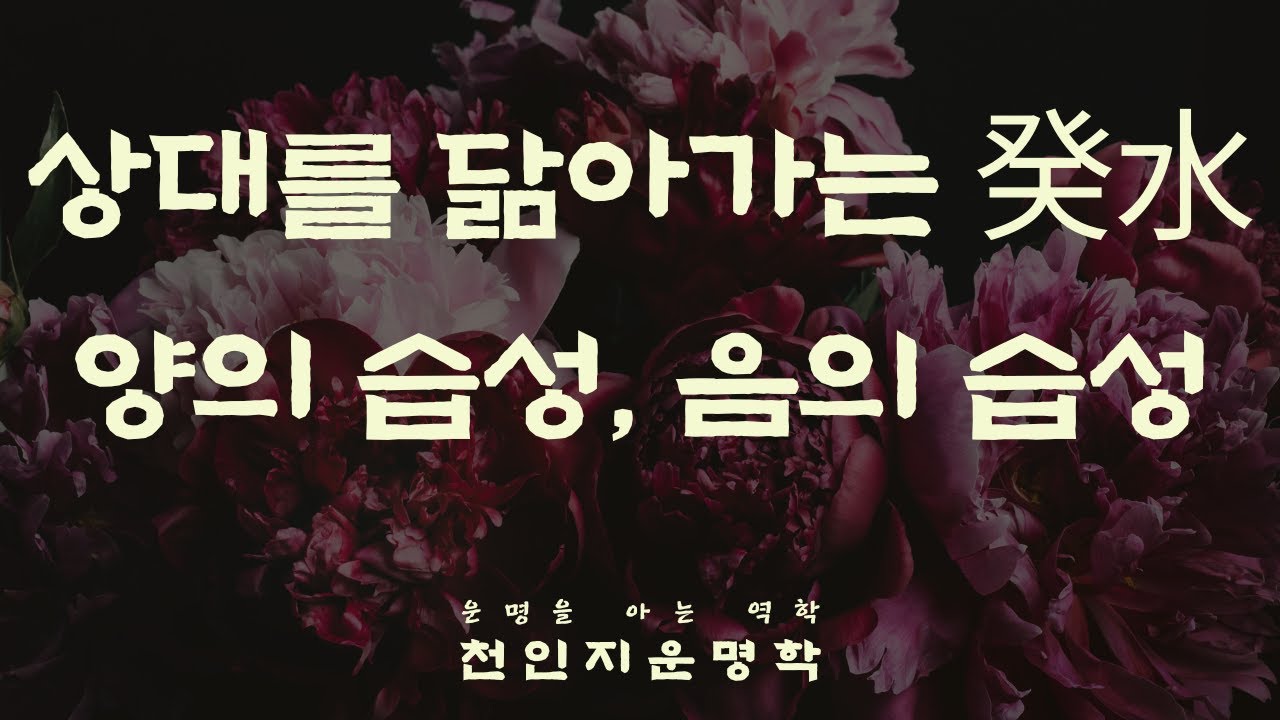 상대를 닮아가는 계수, 양의 습성, 음의 습성