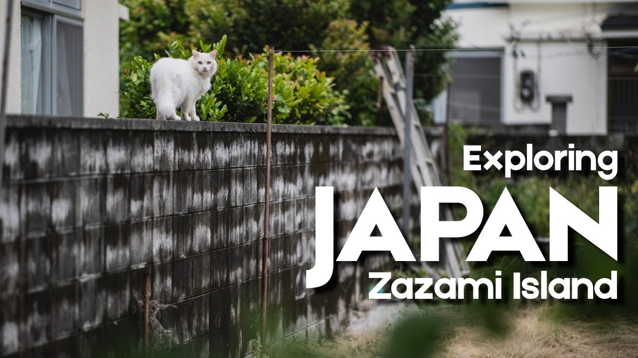 Exploring Japan: Okinawa's Zamami Island I Jason Halayko Photography